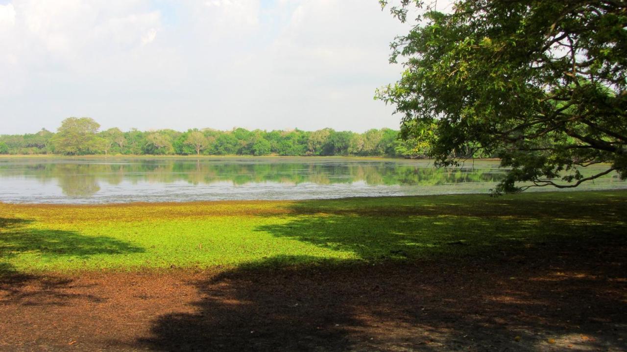 Samanala Resort By Travel Corners - Wilpattu Anuradhapura Exterior photo